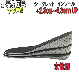 gAbv C\[ V[Nbg p fB[X ~ WOMEN wȂ r  GAC\[ Ռz NbVV[Y C グ  u[c Xj[J[ +2,3cm +3,3