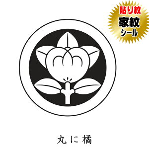 ۂɋk \ ƖV[ HD⒅ɓ\ƖV[ j   tp np j̎qp ܎O {Q \ 6g  t t tHD \t ͂ 