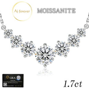 ATiCg lbNX 1.7ct fB[X _Ch 2,5{̋P AM[Ή R[eBO v`i dグ y_g ANZT[ XLWG[ 47cmlbNX S[