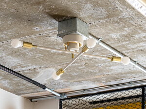 yXzgrameight × INNCLIVE 4V[OCgydȂz  k LED Q _ Ɩ VƖ rO _CjO xbh[ H  6 8 INC-TC-CE1 AgVJ