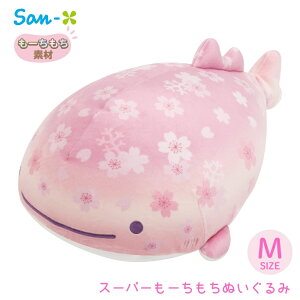 TGbNX ׂ e[} X[p[[ʂ M MV11701 ʂ LN^[  l q 킢