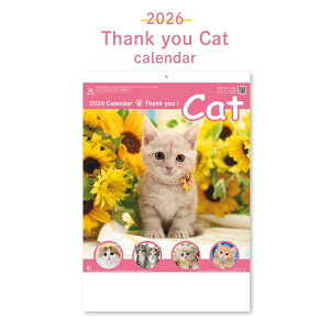 V{J_[ 2026 TL[Lbg Ǌ| NK-8455 jn܂ J_[ L  킢