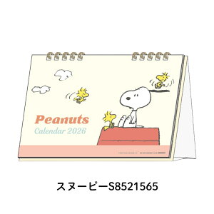 TX^[ 2026 fXNJ_[ jn܂ [֑Ή J_[  킢 LN^[