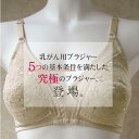 【Cカップ】【アンダーメッシュの乳がんブラジャー★ノンワイヤー★パットポケット加工付き】乳がん用 パット受け ブラジャー フルカップ カップ たっぷり 乳ガン 乳癌 術後 全摘 温存 乳がん 患者用【後ろ留めタイプ】＜anne-1507＞