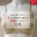 【A・B・Cカップ】【アンダーメッシュの乳がんブラジャー★ノンワイヤー★パットポケット加工付き】【大きなサイズ90～95】乳がん用 パット受け ブラジャー フルカップ カップ たっぷり 乳ガン 乳癌 術後 全摘 温存 乳がん 患者用【後ろ留めタイプ】＜anne-1507＞