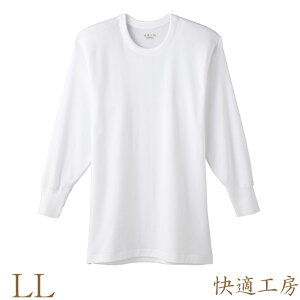 Y Ci[  GUNZE KH[ ێ KQ3008 LLTCY Pi O[ gunze 傫TCY  N[lbN  Rbg am   A_[EFA {(01081)