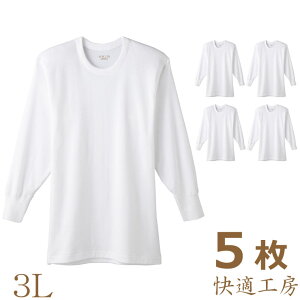 Y Ci[ GUNZE KH[ ێ KH3008 5g  3L 傫TCY  O[ Vc N[lbN N[  n   jp gunze ێ  n 100% Rbg R