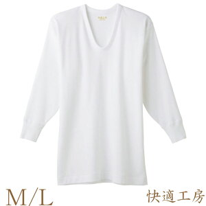 Ci[ Y  GUNZE KH[ U KH3810 Pi gunze O[ KH[ am u ulbN Ci[Vc A_[Vc(00942)