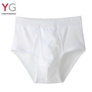 u[t Y GUNZE YG X^_[hu[t YV0030 Pi gunze O[ yg O  am pc  Y  zCg 100%i00117j