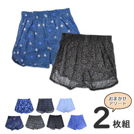 【2点以上お買い上げで送料無料】 キッズ ジュニア 子供 トランクス 2枚組 おまかせ アソート 子供パンツ 下着 男の子 小学生 130 140 150 160 170 (00219)