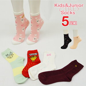 LbY WjA \bNX ̎q ܂ 5g  q C V[g N[ Xj[J[ Xj[J[\bNX N[\bNX 5  Zbgi02750j