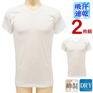 Y Ci[ Vh DRYtCX 13-012 V 2g  z  v ȍ am A_[Vc Ci[Vc  VlbN TVc   hCi02978j