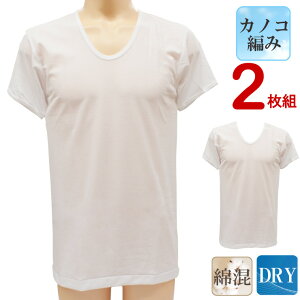 Ci[ Y Vh DRYJmR U 13-016 2g  z ȍ  ̎q Vc n   ܂Ƃߔ(02992)