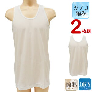 Ci[ Y Vh DRYJmR 13-018 jO 2g  z ȍ  ̎q Vc n   ^Ngbv (02994)