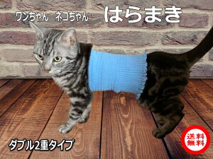 ElR̃ybg@_u2d^Cv@y{z