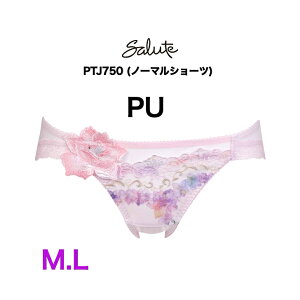 �ySALE�z25%OFF salute �T���[�g PTJ750 ���R�[�� 50�O���[�v �m�[�}���V���[�c �X�^���_�[�h�V���[�c �r�L�j�V���[�c M�T�C�Y L�T�C�Y