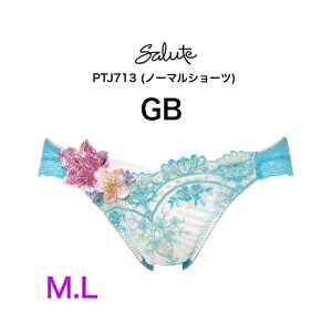 �ySALE�z25%OFF ���R�[�� wacoal �T���[�g salute PTJ713 �m�[�}���V���[�c �r�L�j�V���[�c �X�^���_�[�h�V���[�c 13�O���[�v �y�A�V���[�c M L
