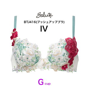�ySALE�z25%OFF ���R�[�� wacoal �T���[�g salute BTJ416 16�O���[�v �u���W���[ 3/4�J�b�v P�A�b�v �v�b�V���A�b�v�u�� G�J�b�v ����P