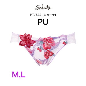 ���R�[�� wacoal �T���[�g salute PTJ733 33�O���[�v �m�[�}���V���[�c �X�^���_�[�h�V���[�c M L