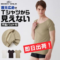 楽天市場】ボートネック tシャツ グンゼの通販