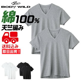 ★送料込み★グンゼ BODY WILD VネックTシャツ 4枚セット 綿100％ BW5015A4GUNZE ボディワイルド V首 メンズ 年間 ボディワイルド インナー 定番 ベーシック 無地 下着 肌着 【即日出荷 あす楽】