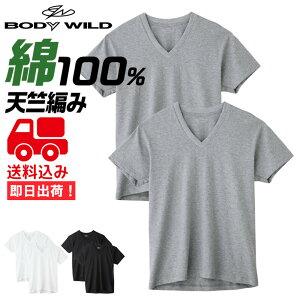 ���������݁�6���Z�b�g �O���[ BODY WILD V�l�b�NT�V���c ��100�� BW5015A6GUNZE �{�f�B���C���h V�� �����Y �N�� �{�f�B���C���h �C���i�[ ��� �x�[�V�b�N ���n ���� ����
