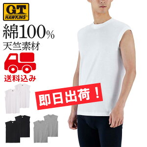 ���������݁�2���Z�b�g �O���[�yGT�z�[�L���X�z�T�[�t�V���c HK10182K2�m�[�X���[�u�V���c �����Y ��100% �X���[�u���X �a�m �^���N�g�b�v �m�[�X���[�u ���Ȃ� G.T.HAWKINS GUNZE �O���[�y���[����