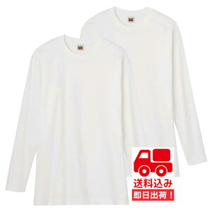 ݁4ZbgO[yGTz[LXzN[lbN OTVc ێ񒷑TVc 100 G.T.HAWKINS HK10082K4 GUNZE Vc ێVc YCi[  M L LL