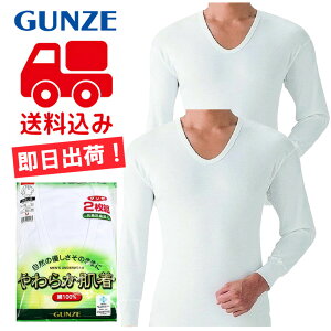 ݁6ZbgO[y炩zUVc 100% RۖhL SV6110A6 GUNZE Ci[Vc   U n  Ci[ Rbg OX[u OTVc A_