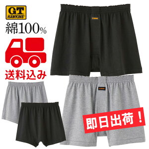 ���������݁��O���[�yGT�z�[�L���X�z�j�b�g�g�����N�X ��100�� HK1993�����Y G.T.HAWKINS GUNZE�y���[���ցI�����w��s�I����s�I�M�t�g��s�I�z