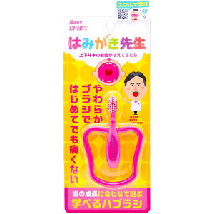 IJ ݂͂搶@xr[OuV 1{