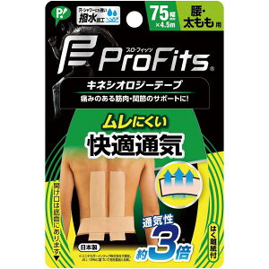 vEtBbc LlVIW[e[v KʋC Ep 4.5m