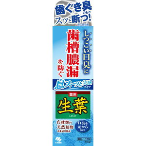 小林製薬 生葉I 息スーッと実感 100g (医薬部外品)