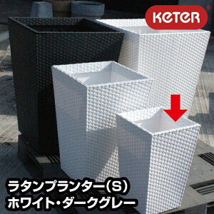 v^[iSj//_[NO[yKETERz yϗtA K[fjO |  S~ _Xg{bNXz