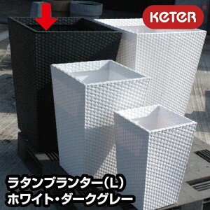 ^v^[iLj//_[NO[yKETERz yϗtA K[fjO |  S~ _Xg{bNXz