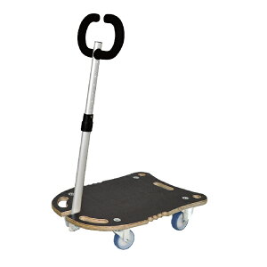 STAR CARRIER COMPACT MM1174yWAGNER  J[g L[ hCc IV A ؐ z