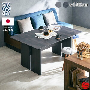 PT7{Ώہ10/24 0:00`[Jݒu]yƋzrOe[u _CjOe[u e[u H ` 160cm  160 fBOjeB I[N V2F [[u] _CjO\t@Ƃ