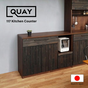 XSiPT5{1110:00`yƋzLb`JE^[ JE^[{[h Lb`[ 120cm  120 NGC AJVA[Kg]