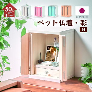 z50%OFFZ[{8%OFFN[|12420:00`yƋzd ybgpd A{bNX MTCY  [ zCg/sN/u[/i`[h؍H]ݒuꏊI΂Ȃ