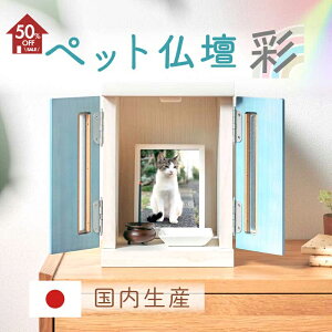 z50%OFFZ[{8%OFFN[|12420:00`yƋzd ybgpd A{bNX STCY  zCg/sN/u[/i`[h؍H]ݒuꏊI΂ȂRpN