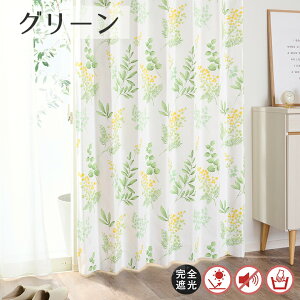 ~U SՌJ[e D-1160 Ռ100 55cm-250cmx201cm-260cmyI[_[J[e 􂢉 1Ռ fM ՔM h ۉ t[fUC ԕ 炩ȐF CG[n ȃGl G