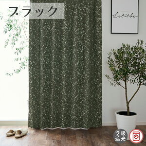 2���Ռ��J�[�e�� OK-522 ��55cm-250cmx��55cm-140cm�y�I�[�_�[�J�[�e�� ����� ���[�t���`�[�t �����݃J���[ �L���C�ڃe�C�X�g �V���v���f�U�C�� �Q������ ���r���O�p �G�{�� �V�b�N�e�C�X�g �Ռ� 