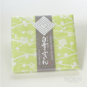 【在庫限り終了】白雪ふきん 友禅染 梅 如月 30 x 40cm グリーン うぐいす ご挨拶 ギフト