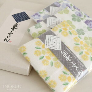 白雪ふきん オリジナルギフトセット モダン ご挨拶 箱詰セット 内祝い お祝い ギフト
