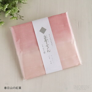 y݌ɌIzӂ RۖhLELV[Y tR̍gt 30 x 40cm 6d h { j A Mtg