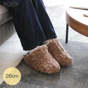 yubNtCf[z[u[c AbvpC P[u{A 26cm uE [V[Y INOBUN IWi Mtg 