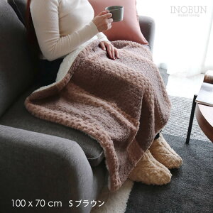 uPbg ubN~bNX{A S 100 x 70cm uE Ђ| INOBUN IWi Mtg 