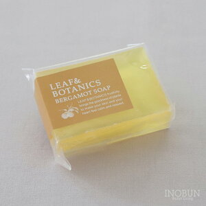 H~ [t{^jNX }U[\[v ΂ 90g xKbg VR ΍ LEAF&BOTANICS R {