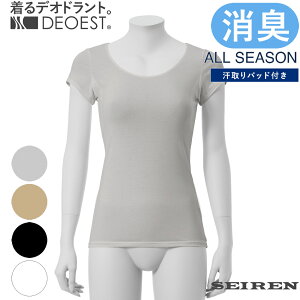 DEOESTbLt`X[umpbhtnIDG08LVc L LCi[  ̏L L L eL L e e 킫   wl fB[X