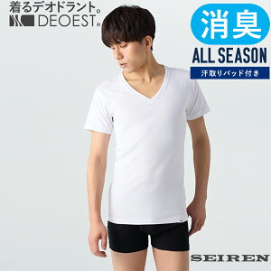 DEOESTbLA_[VcEVlbNmpbhtnIDA09LVc L LCi[ V  ̏L L L eL L e e 킫 j am Y